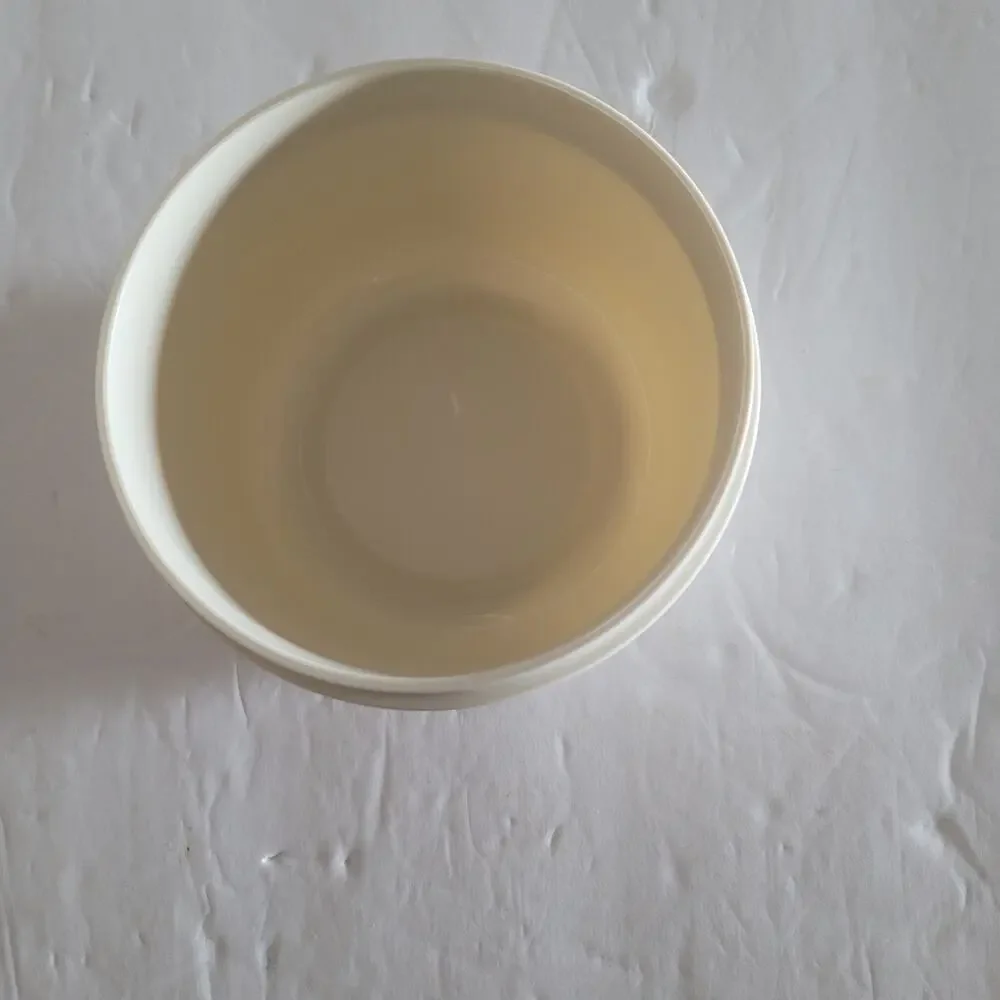 Vintage Tupperware 6-Compartment Serving Tray - Beige